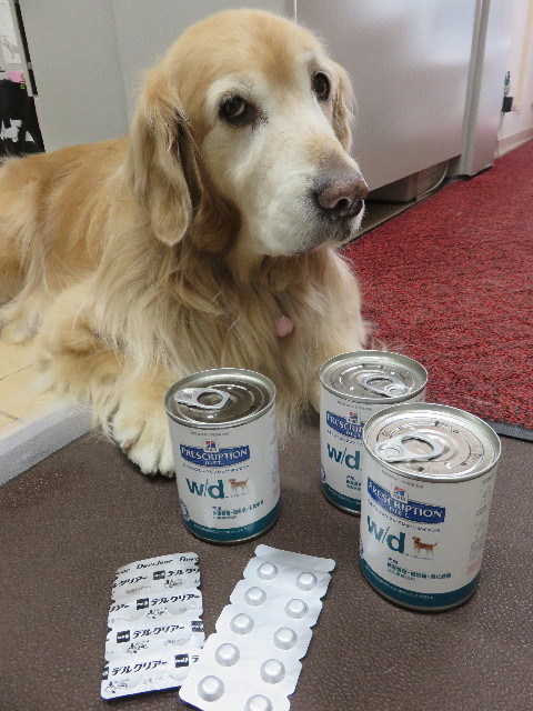 ファイル 4797-5.jpg