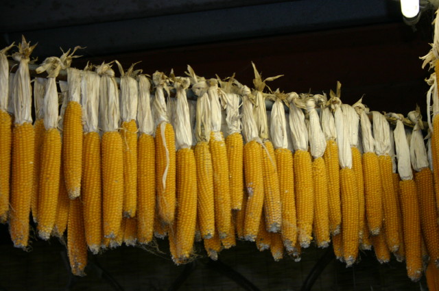 ファイル 480-2.jpg