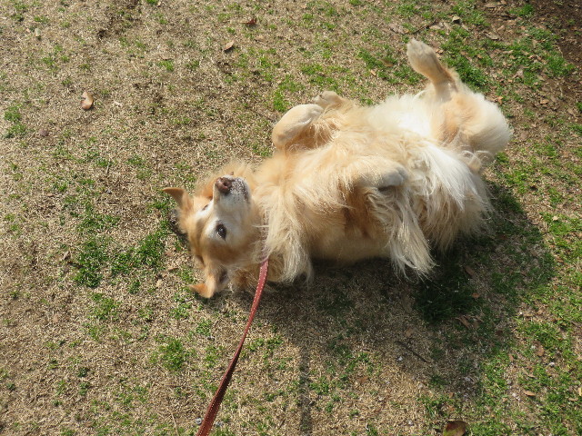 ファイル 4800-2.jpg