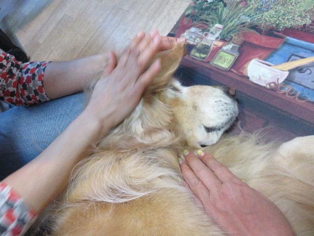 ファイル 4800-3.jpg