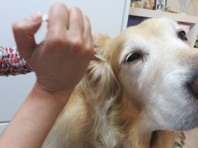 ファイル 4800-4.jpg