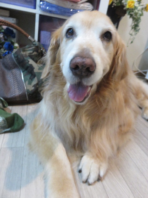 ファイル 4800-5.jpg