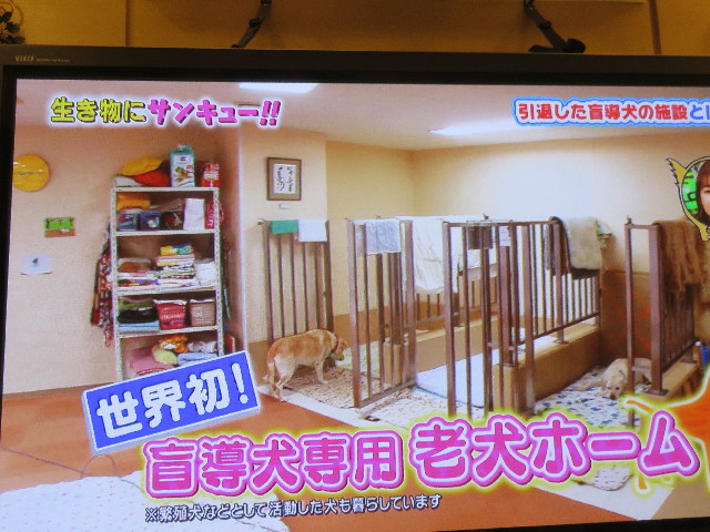 ファイル 4801-1.jpg