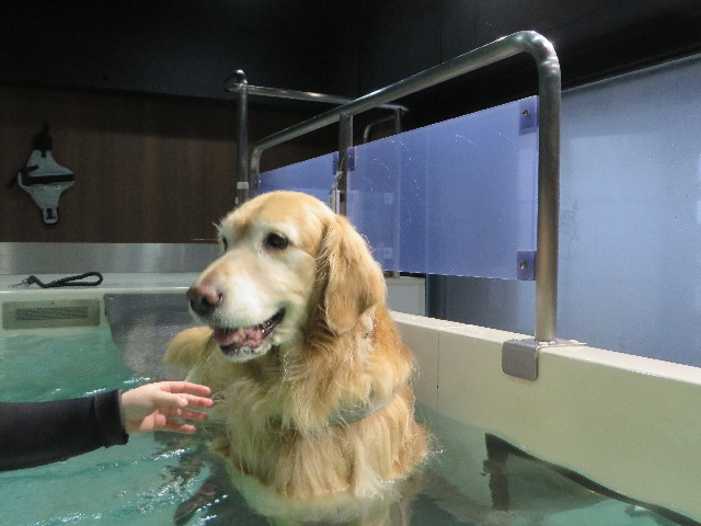 ファイル 4802-3.jpg