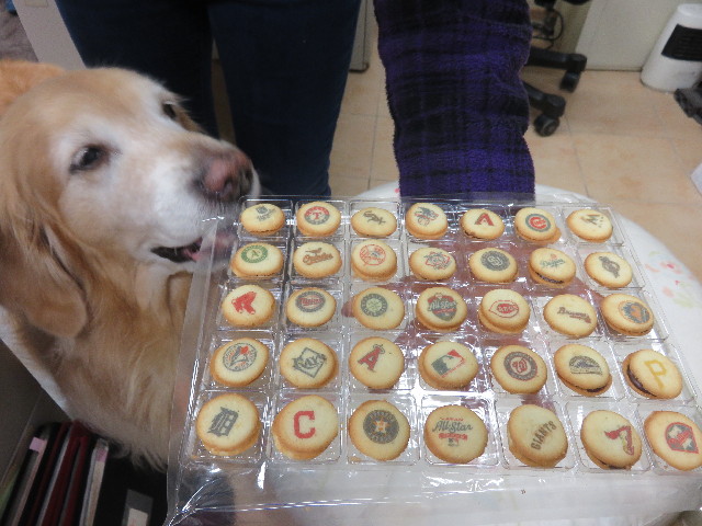 ファイル 4803-5.jpg