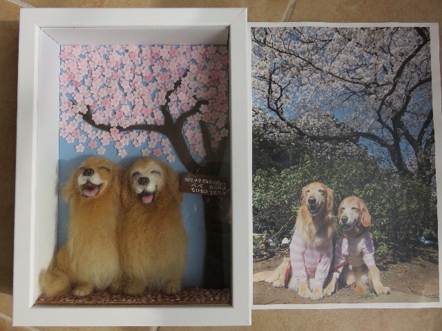 ファイル 4804-2.jpg