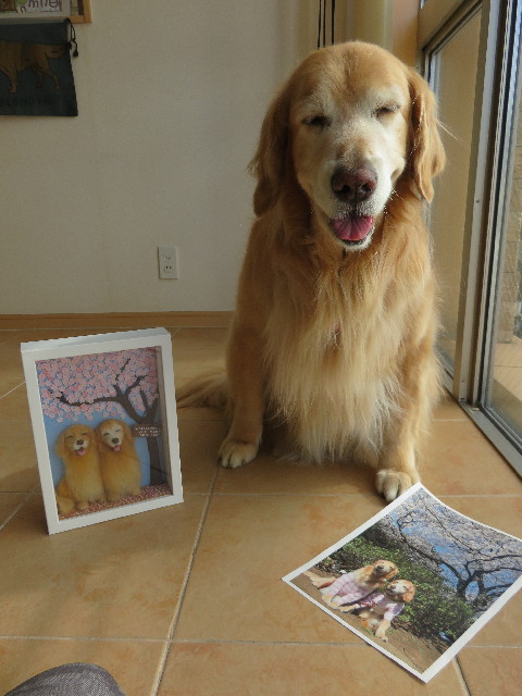 ファイル 4804-4.jpg