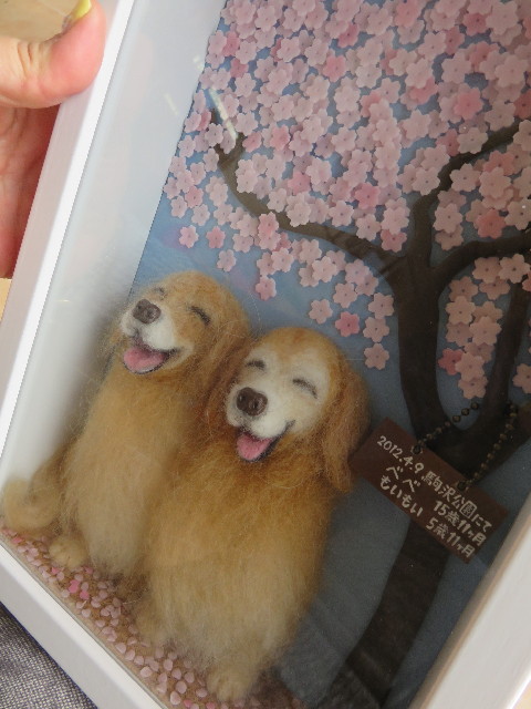 ファイル 4804-5.jpg