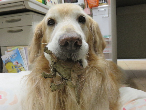 ファイル 4805-1.jpg