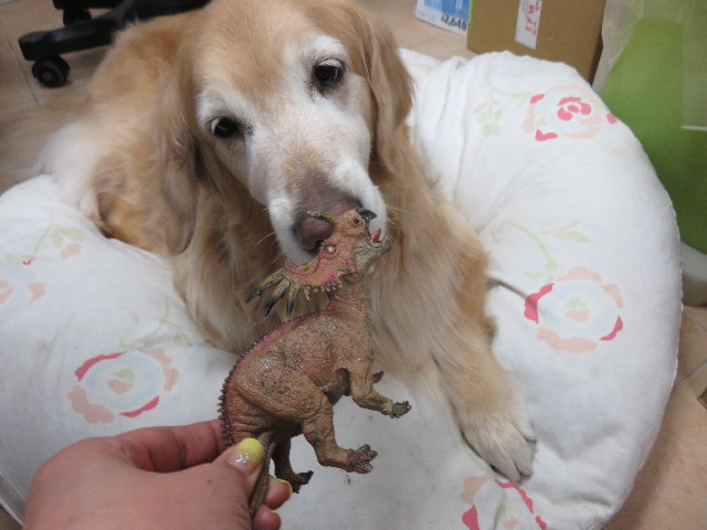 ファイル 4805-2.jpg