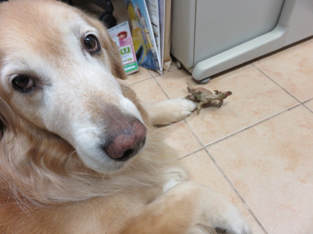 ファイル 4805-5.jpg