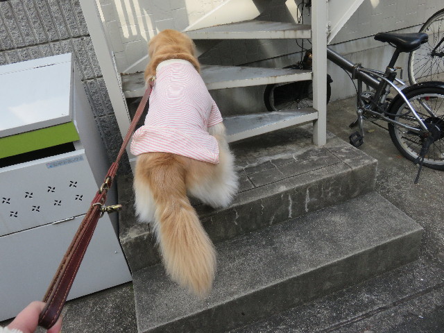 ファイル 4806-2.jpg