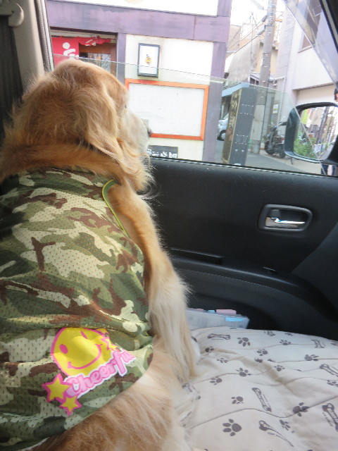 ファイル 4806-3.jpg