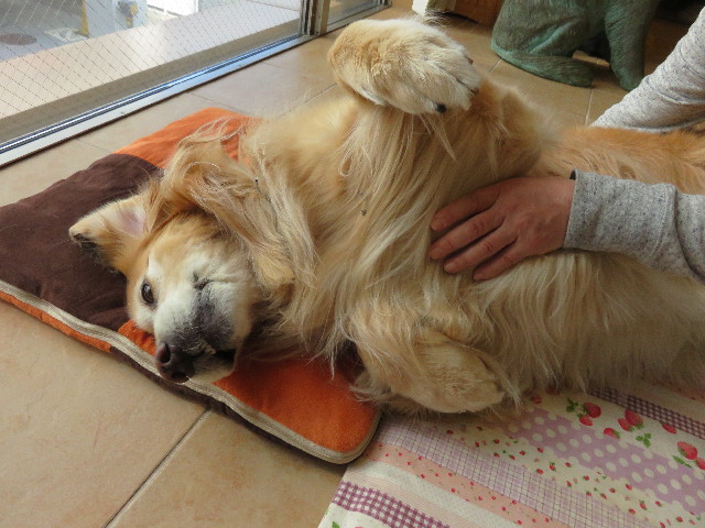 ファイル 4806-5.jpg