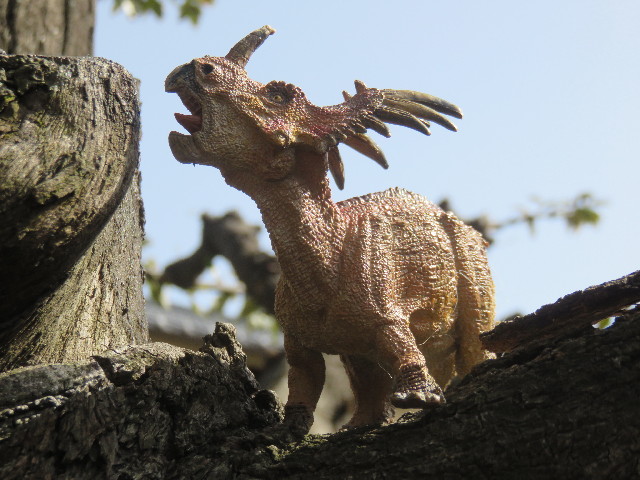 ファイル 4807-2.jpg