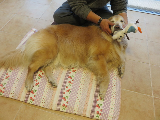 ファイル 4808-4.jpg