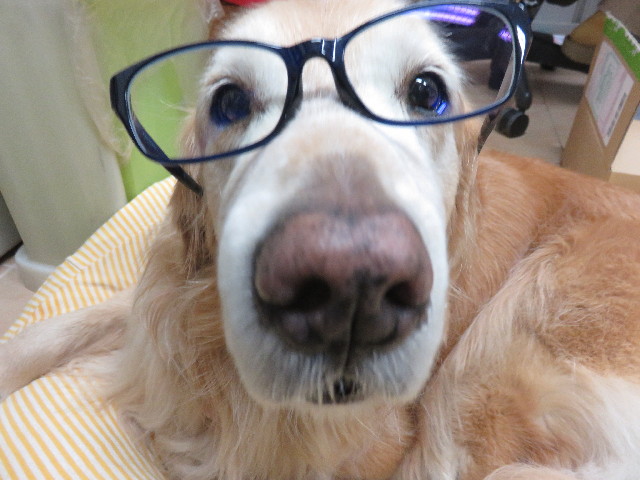 ファイル 4808-5.jpg