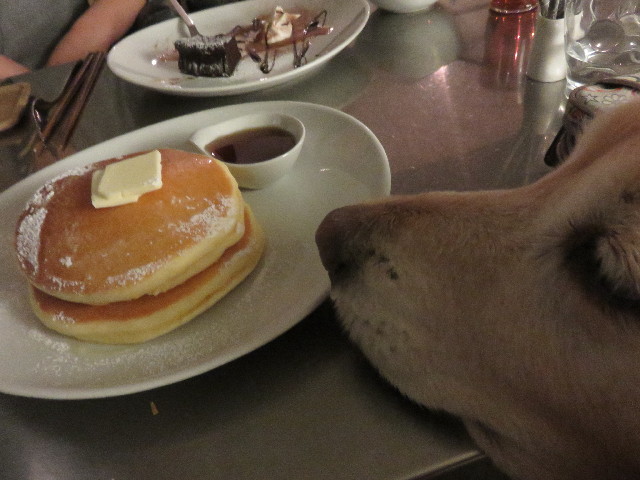 ファイル 4810-5.jpg