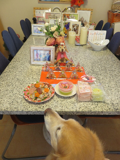 ファイル 4811-2.jpg