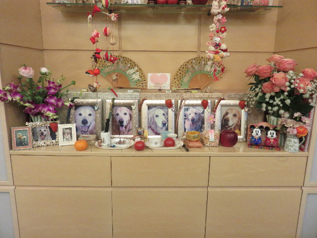 ファイル 4811-4.jpg