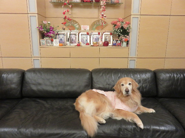 ファイル 4811-5.jpg