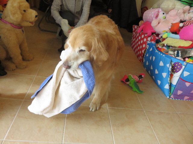 ファイル 4819-3.jpg