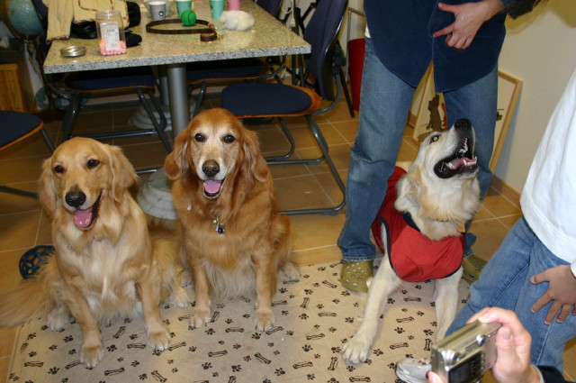 ファイル 482-3.jpg