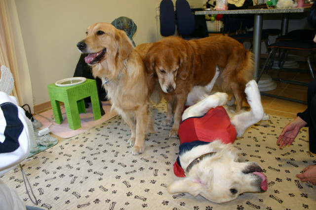 ファイル 482-4.jpg