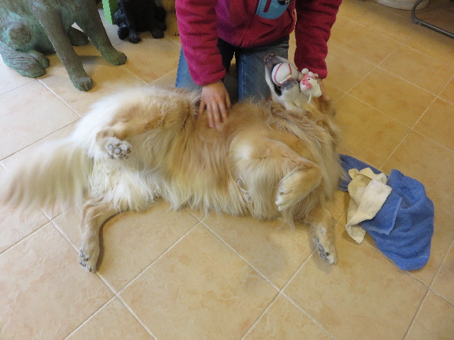 ファイル 4820-5.jpg