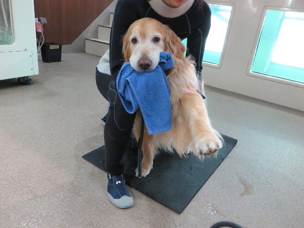 ファイル 4829-2.jpg