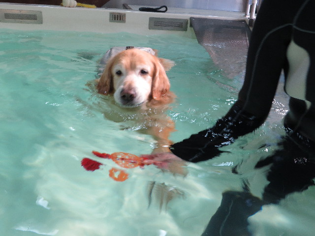 ファイル 4829-3.jpg