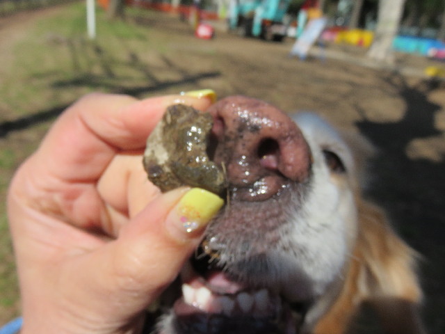 ファイル 4830-4.jpg