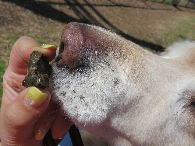 ファイル 4830-5.jpg