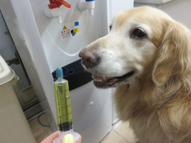 ファイル 4831-3.jpg