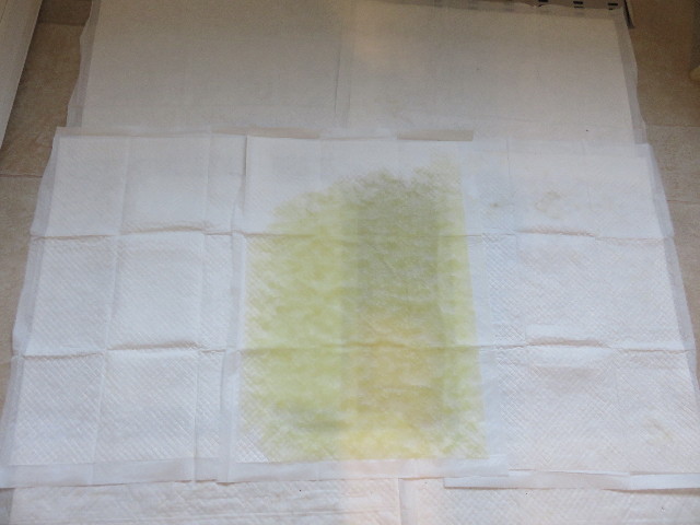 ファイル 4831-5.jpg