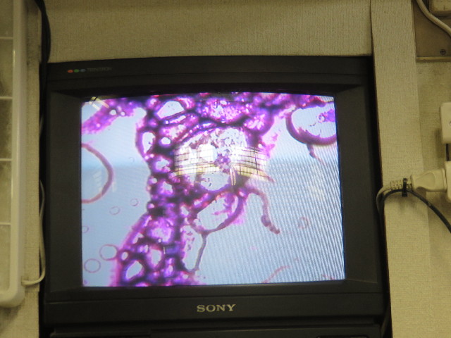 ファイル 4835-4.jpg