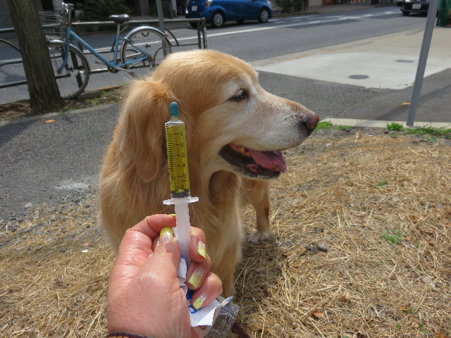 ファイル 4835-5.jpg