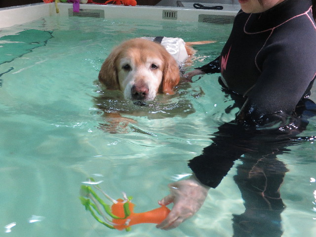 ファイル 4837-2.jpg