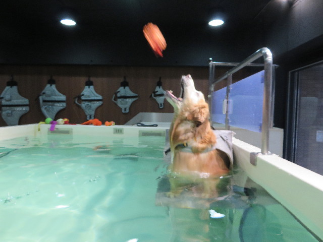 ファイル 4837-3.jpg