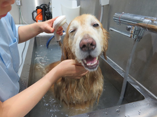 ファイル 4837-5.jpg