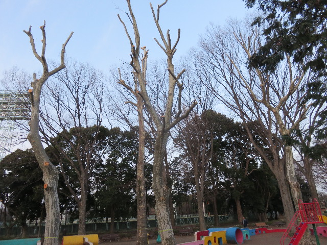 ファイル 4838-1.jpg