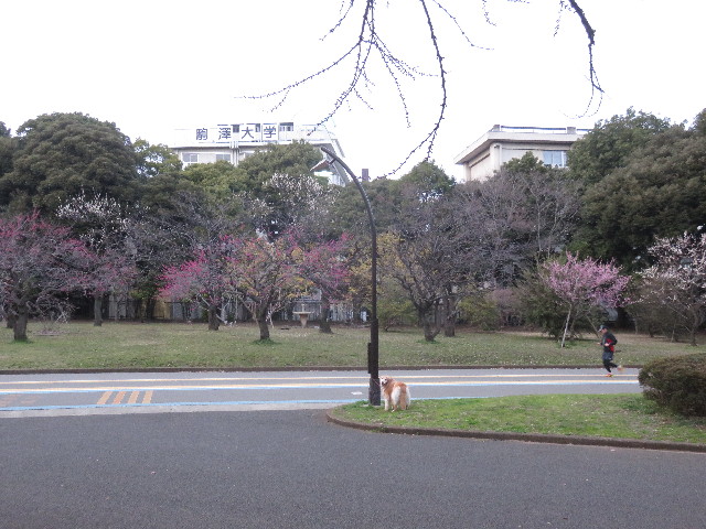 ファイル 4839-1.jpg