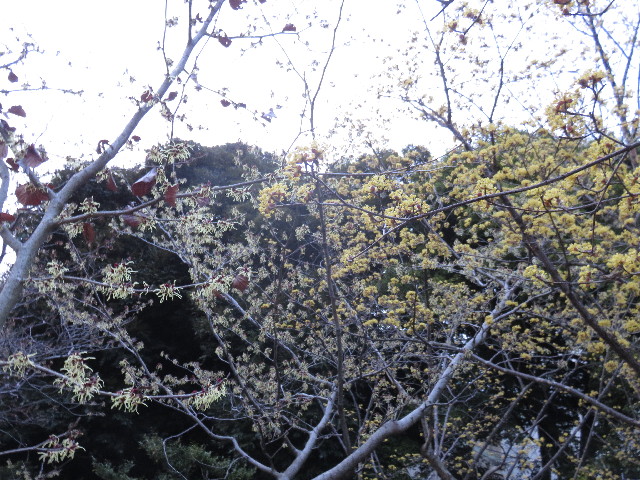 ファイル 4839-2.jpg