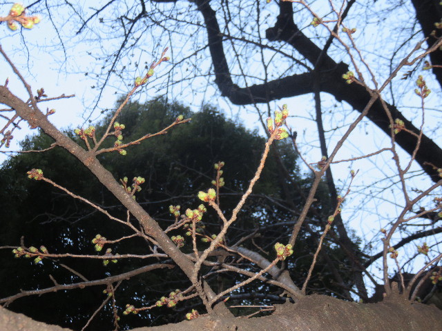 ファイル 4839-4.jpg