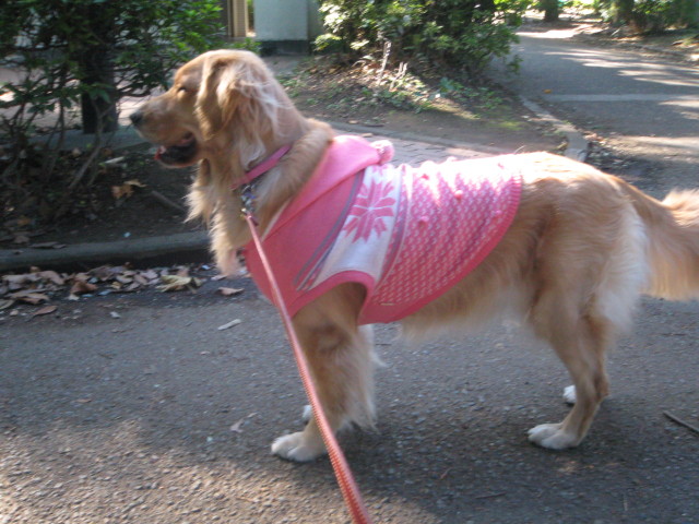 ファイル 484-5.jpg