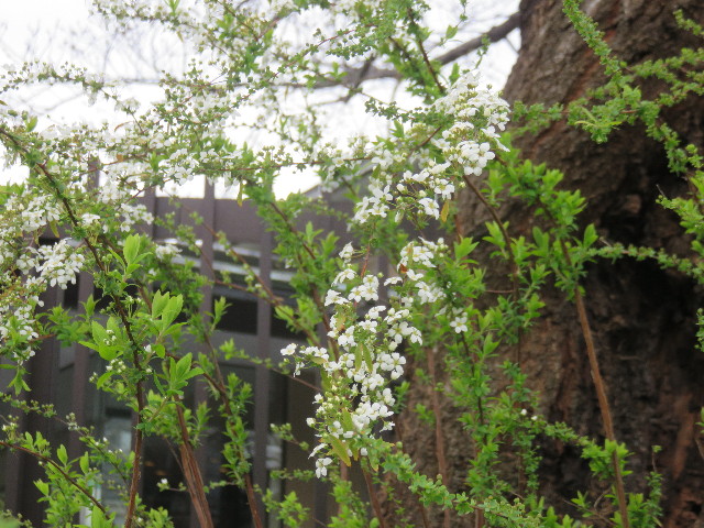 ファイル 4840-1.jpg