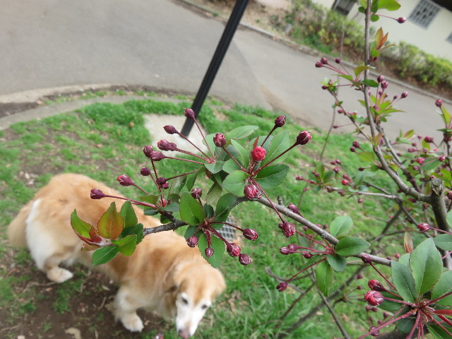 ファイル 4843-4.jpg