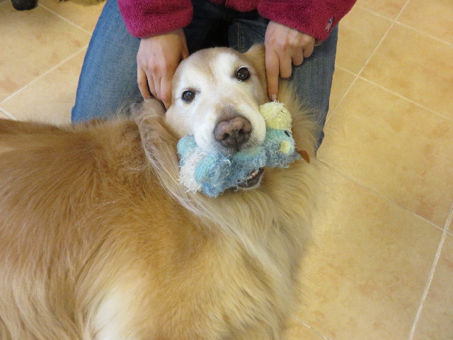 ファイル 4843-5.jpg