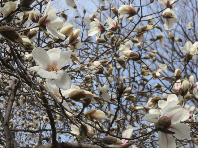 ファイル 4844-2.jpg