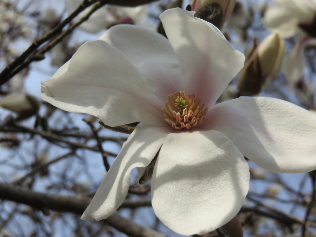 ファイル 4844-3.jpg